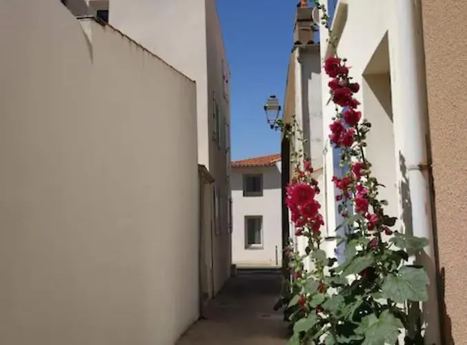 Tiny Terrasse, Hypercentre La A 2 Pas ! 莱萨布勒-多洛讷